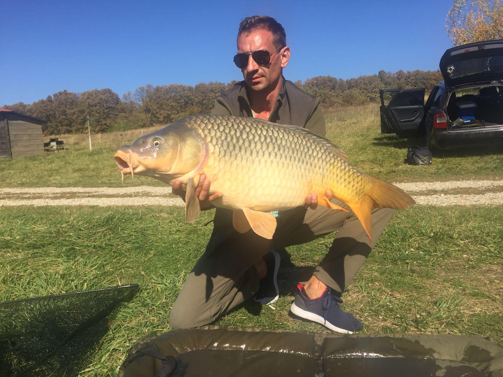 Fish - 2e163fae-b4b7-402c-b2d9-f52a1f6e27b2.jpeg